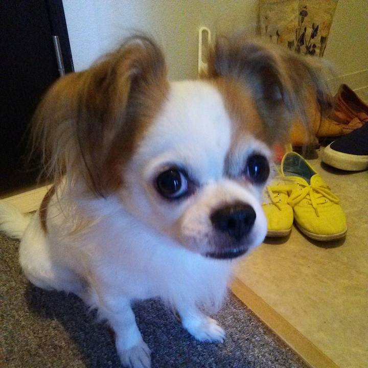 B7b7b8a4 32b8 412d b690 4be0b829ca44