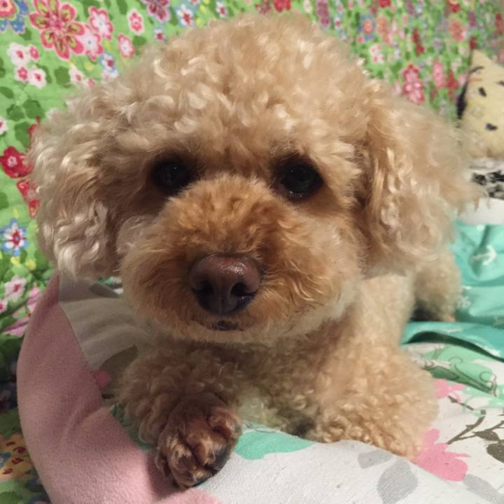 B7b7f00a d7aa 44ea b34a e2f4f2e14969