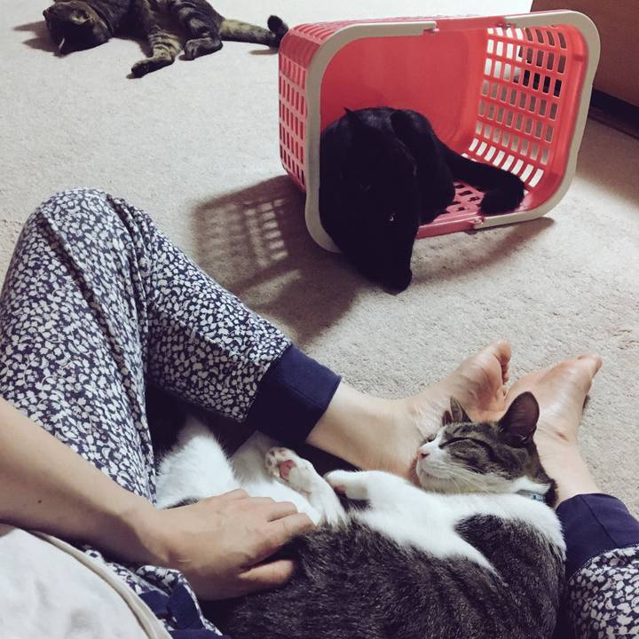 B7b8b405 bcb8 4d1c bb75 93b898d12218