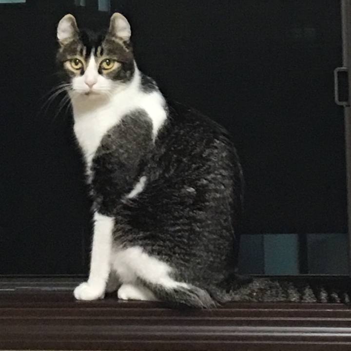 B7b8f4af 4672 496c 96d7 ff9addeabdcf