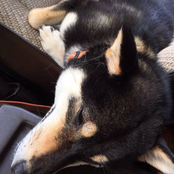 B7b90930 58e3 4dba ad6d e69644e492f6