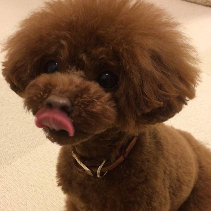 B7ba16b9 8c9d 4612 bde0 df21333bf05c