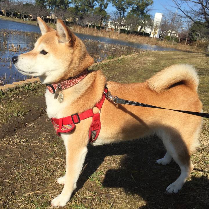 B7ba637f 0302 47ca b1ed 3e8b1049e4c9