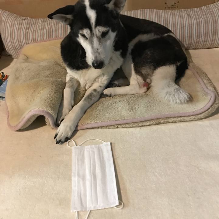 B7bb24fc ed2f 4a2c 83c8 b7f6c1676093