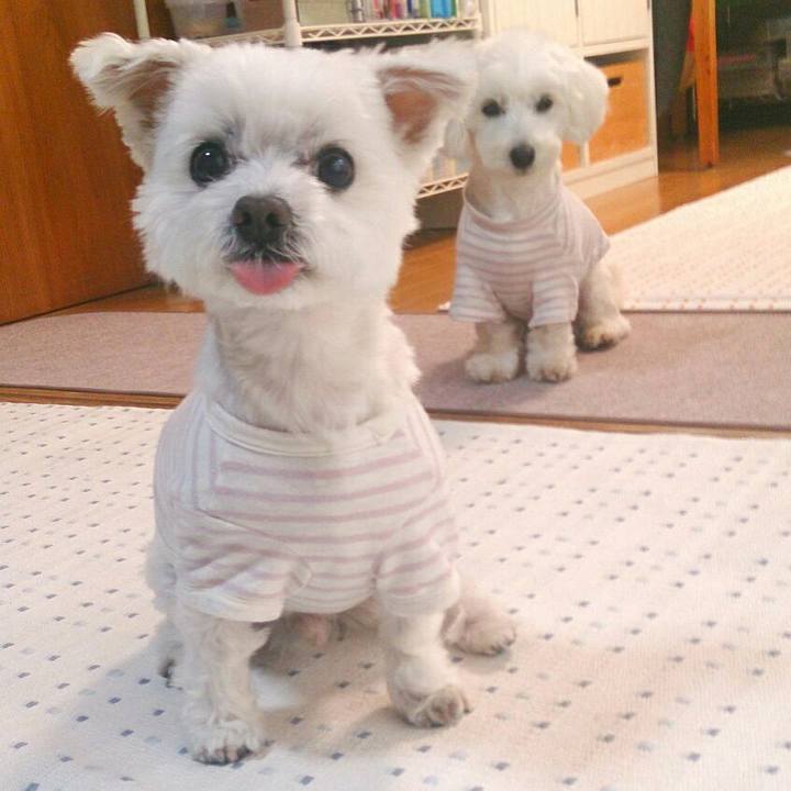 B7bb3887 0ba4 4d4a 8180 5730070e433a