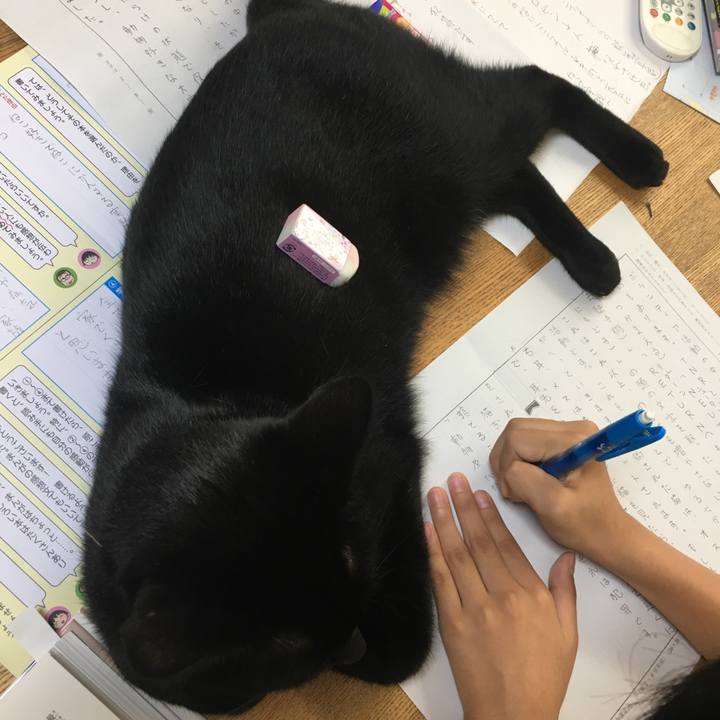 B7bbcf4c 7ea1 4962 b3e5 3c4ca412c48b