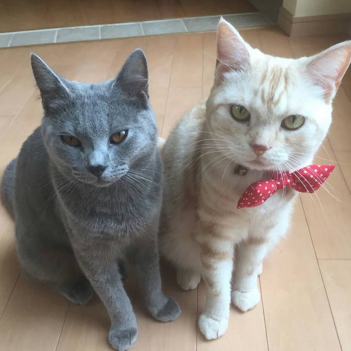 B7bc2521 8b55 434b a0ec a15787ce8d1b