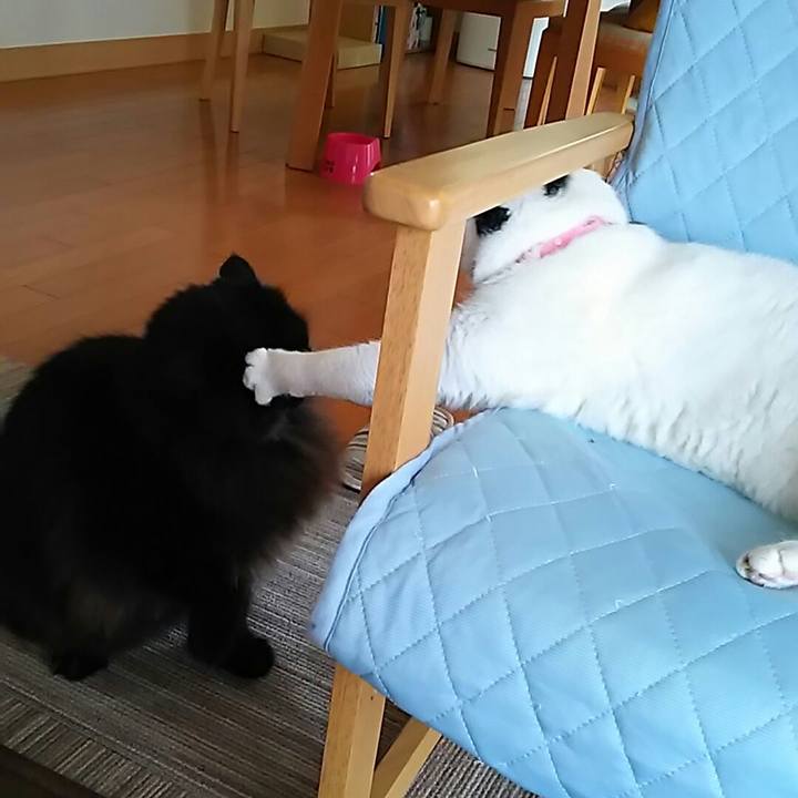 B7bc532a 1b5c 40e9 b4ee c1b597647ffa