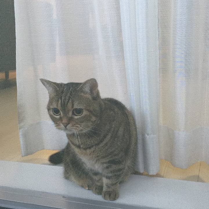 B7bd8b9f 473b 420f af99 709e66ddb27f