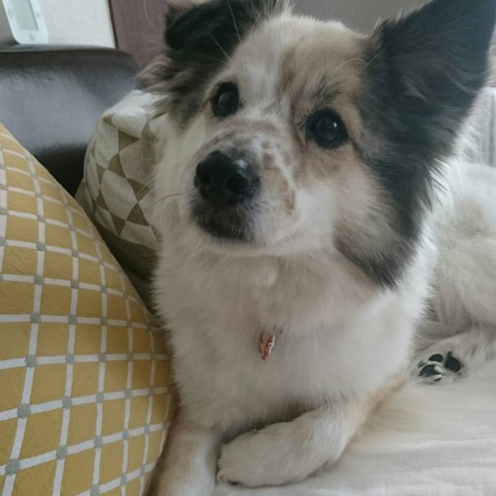 B7be0b4b 4539 48fe 8ba3 6ff21a1bec08