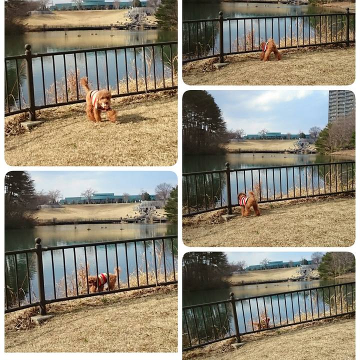 B7be6fc8 699a 4eac 9738 f92ebd94801e