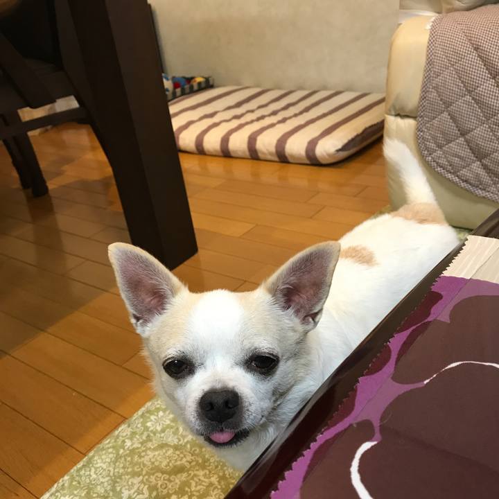 B7bea4d0 6b1c 4be3 89c2 6b3d4af73e80