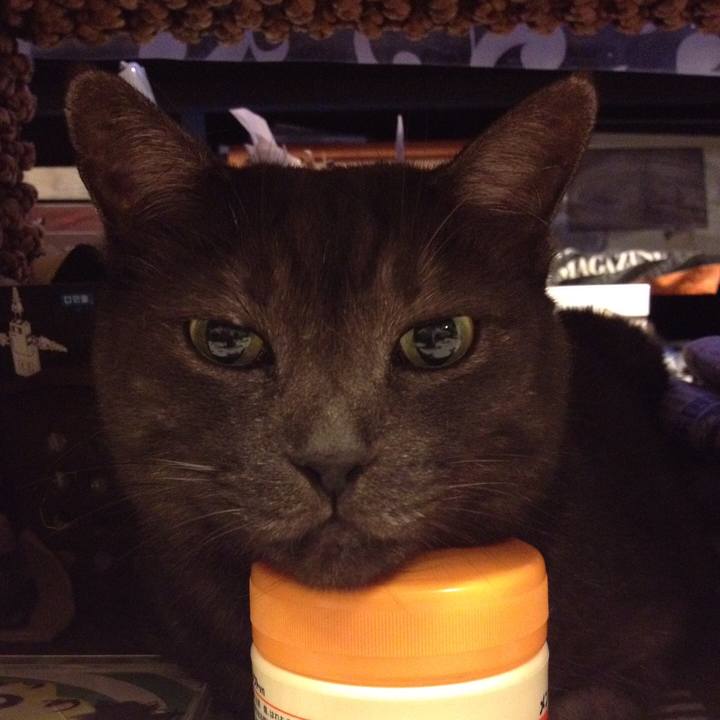 B7bf1d4b fafb 49ee a59e 90ed43b53818