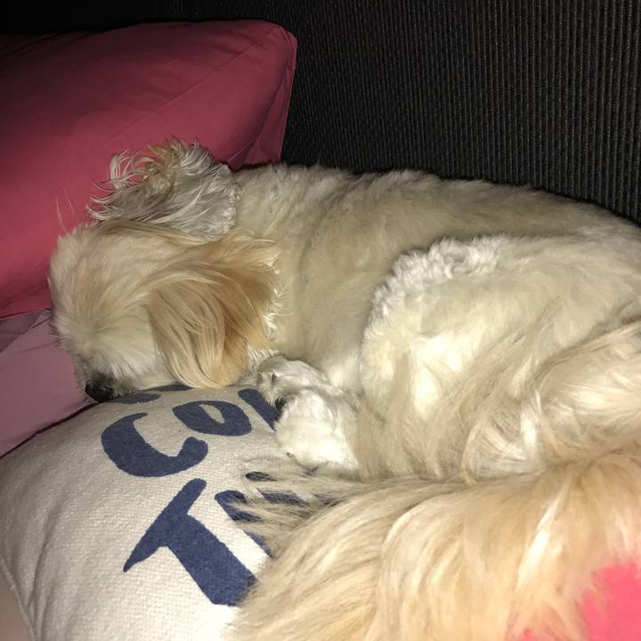 B7bf286f 3cff 4ad5 933f 6af9b17a5a88