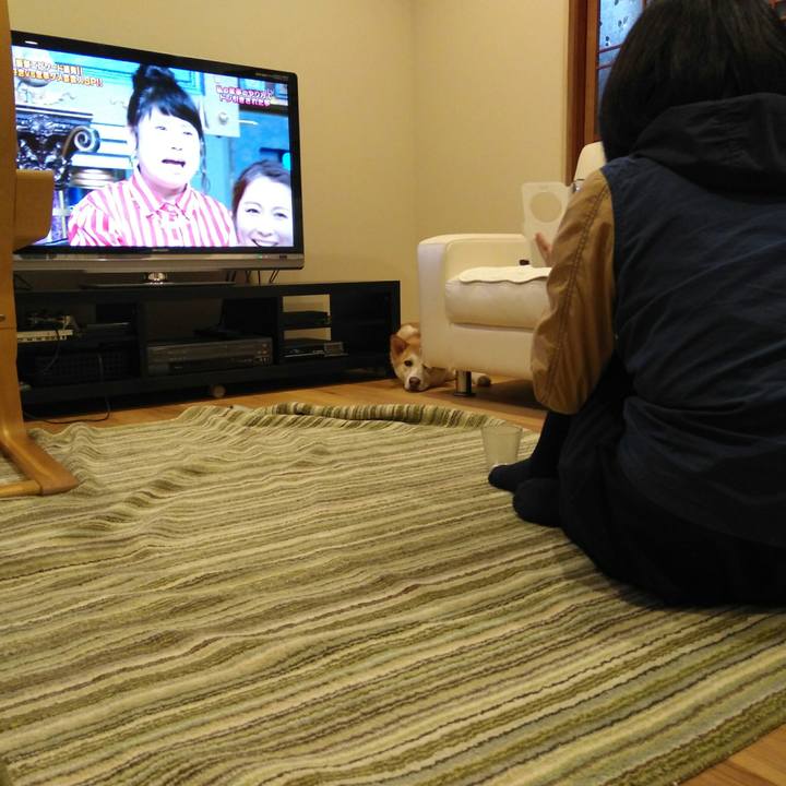 B7bf2e3e 0276 43da a6c5 2b7ac965562a