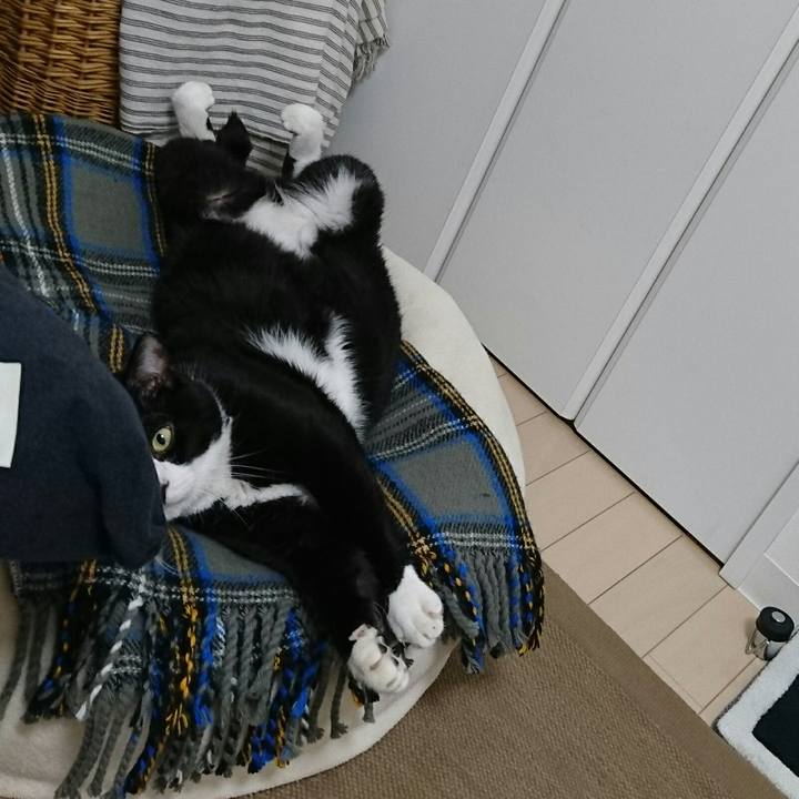 B7bf5632 d7ea 4f00 87dc 7cd199be348d