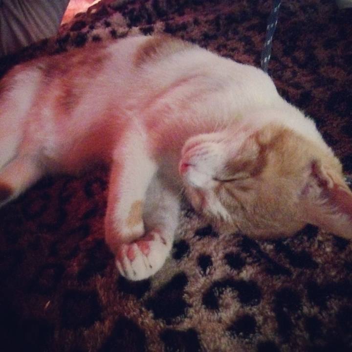 B7bf6780 50d5 4172 aa51 f16cf5708ed7