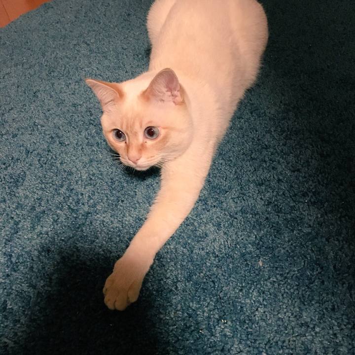 B7bf9aaa df47 46a9 a57b 3effa2f195e6