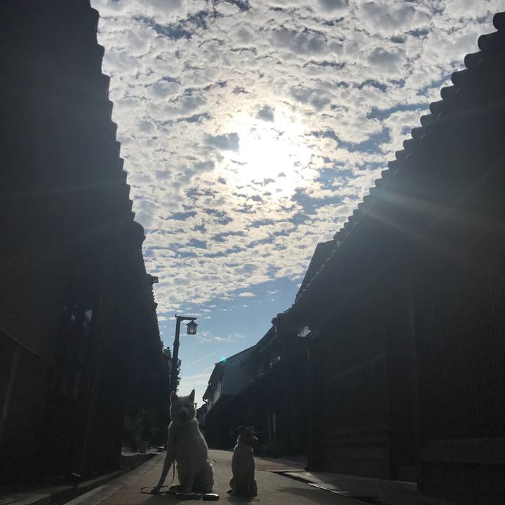 B7bfdce8 bb18 4a00 9219 b3daa139b85e