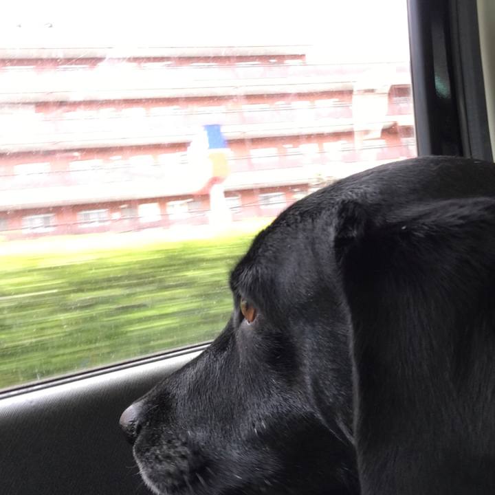 B7bfee7f f448 4196 862e f377b8e369c3