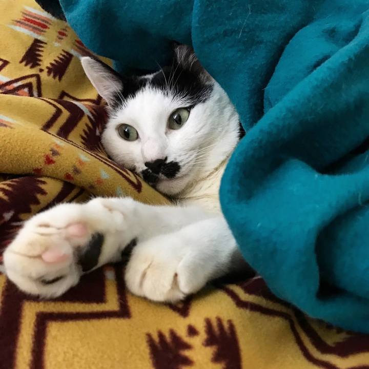 B7c0e2bc 8e94 4ec0 b5a3 224e65b40f3b