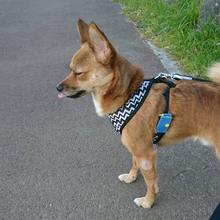 B7c1586b eacb 4de2 a53d e50a8c1135da