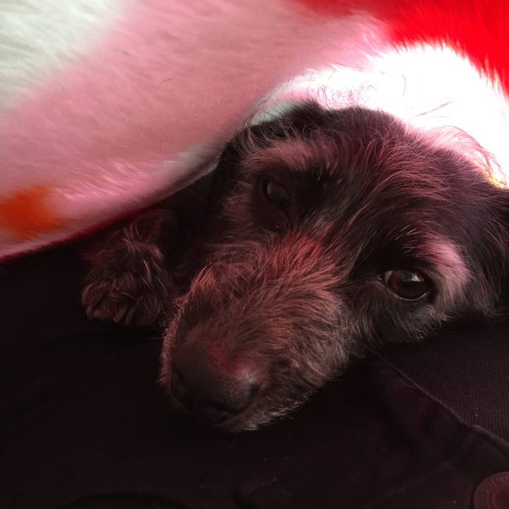 B7c16e22 9e4e 470e b727 bd9b1982a0c0