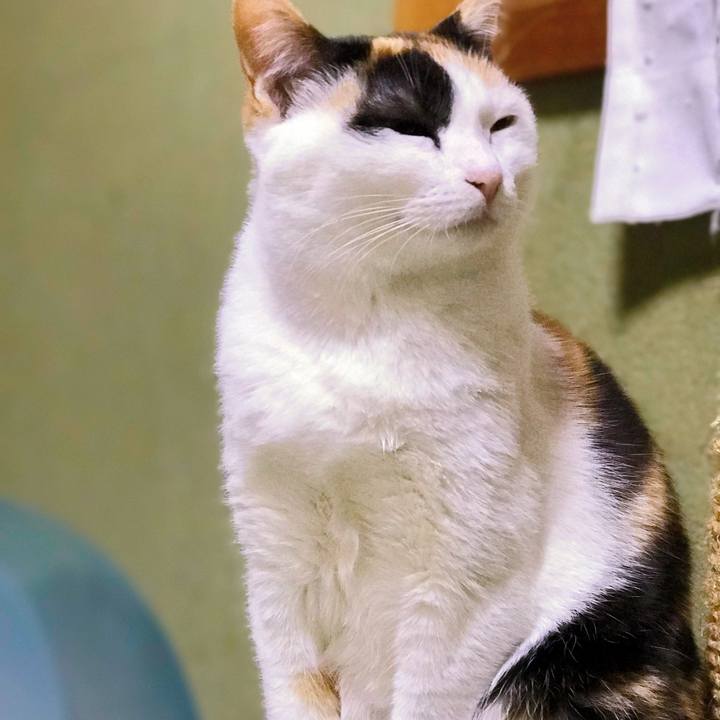 B7c16fb8 6f2e 42ec 82d9 aab893d0e772