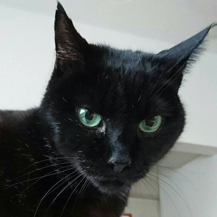 B7c18aa1 5789 424b 8995 90b62f3be50f