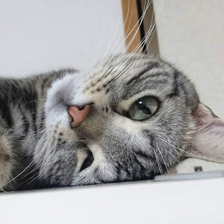 B7c1aabf 05a1 4bdd 8ef6 ef4c47c85e32