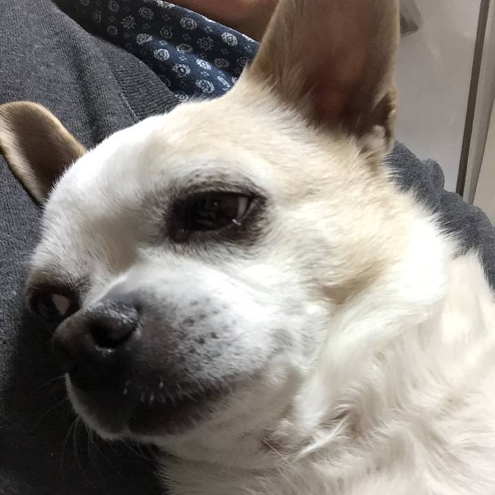 B7c1b549 1dce 40e0 94c5 5392e9722f3e