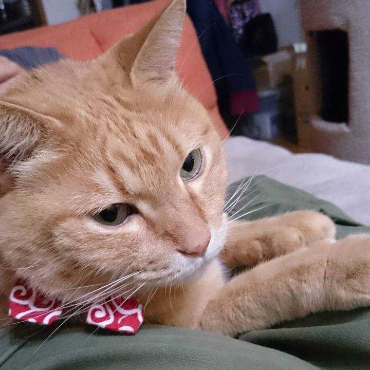 B7c2d980 9070 43a9 bd6d 85f4ef9c1ea0