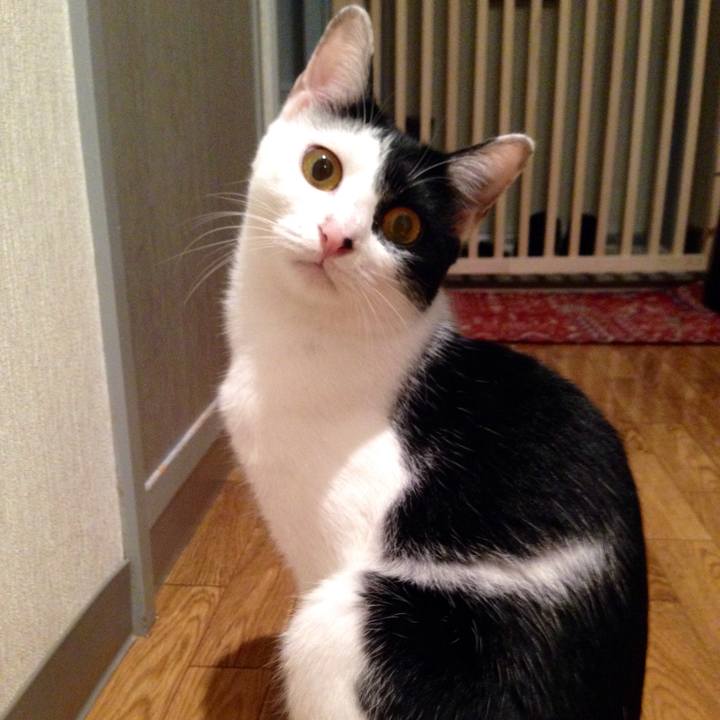 B7c30d72 b442 4932 a125 83ba1be106c9