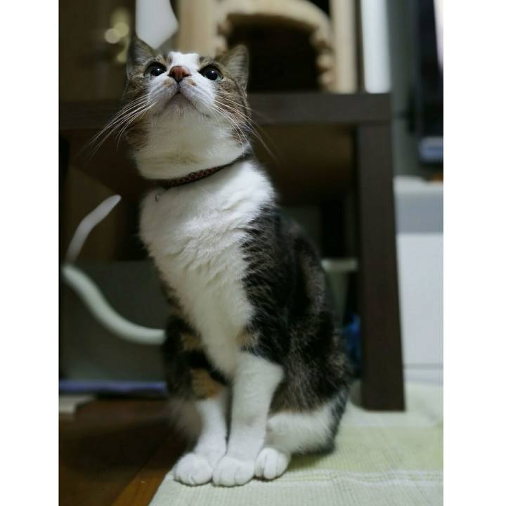 B7c42a82 5098 4fdf 853c 0432c7cad524