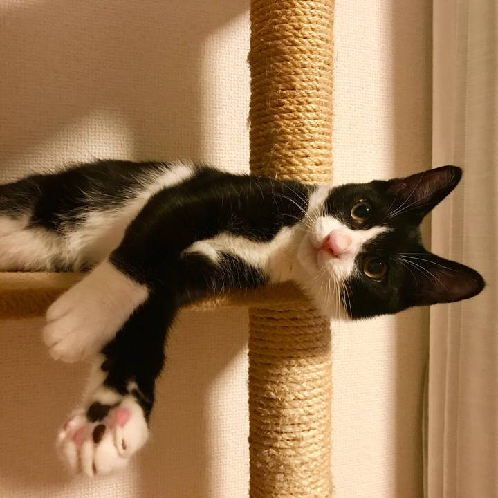 B7c44e44 0fea 47f5 aed4 625eae0165c3