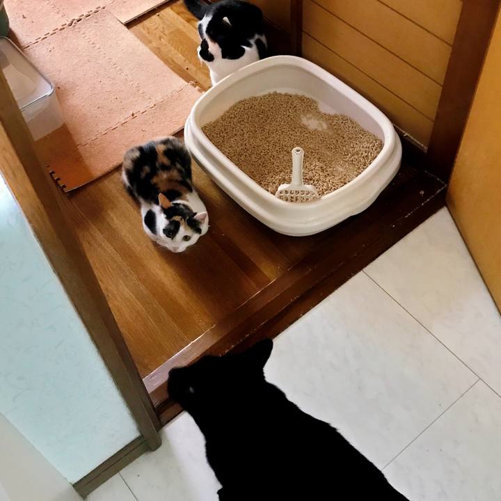 B7c44fcd 5424 4ee5 81e1 d5d9f02e6538