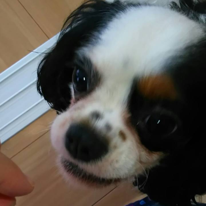 B7c480bf 5bb6 4474 93f6 7599071db895