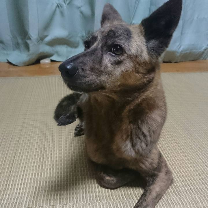 B7c4bc22 2661 4aad 9c5a 3f37c5698fea