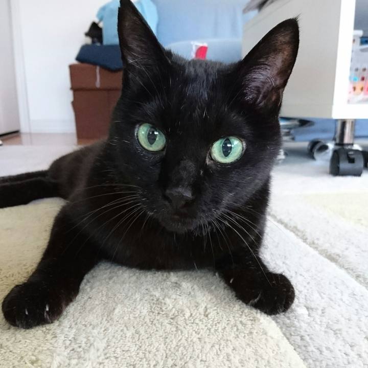 B7c55b0c 7506 4604 bc3f 1c4680ed0598