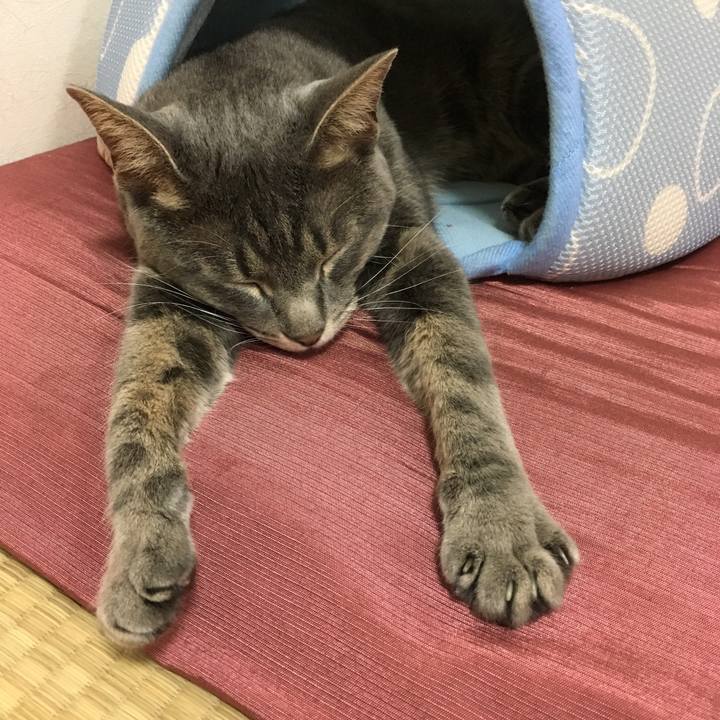 B7c59077 d20d 40dd b5ed 57e4fb14c77f