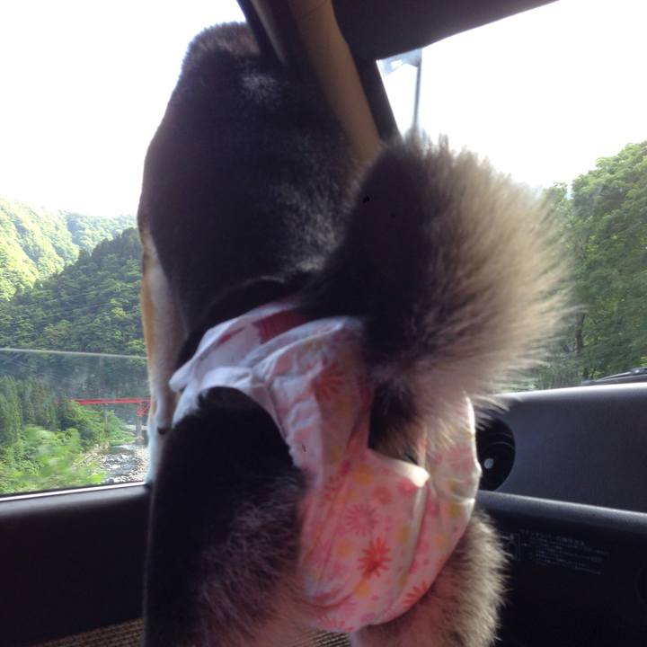 B7c5ca72 b05a 4f60 9d05 b9ba3bd17107