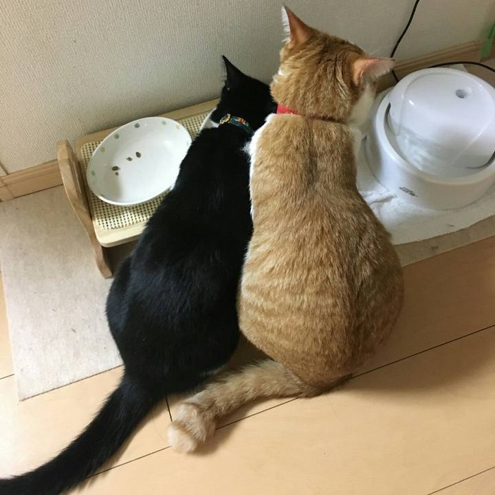 B7c5fd93 2dfb 47f9 8222 a7721135e407