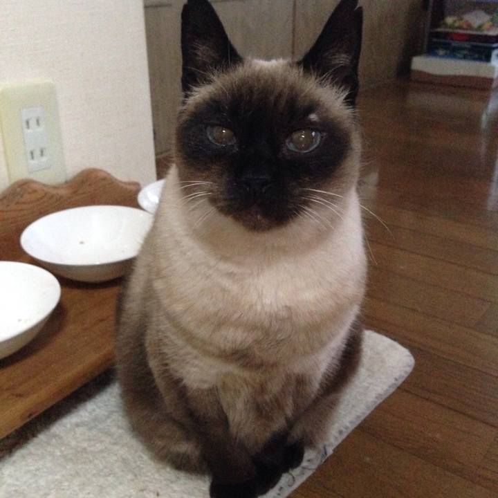 B7c65f7d 8811 40b3 82a4 0fcbea2ab7e6