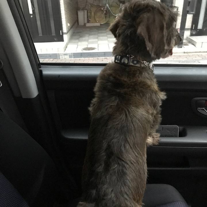 B7c68243 e591 4dd5 955d 81767c9d8cef