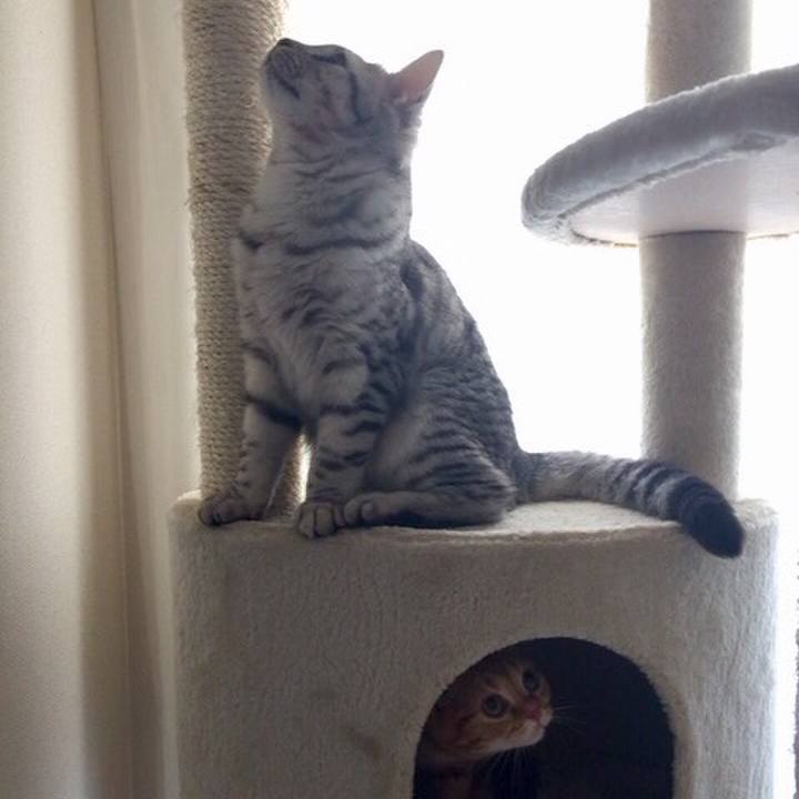 B7c6943f 4612 4f58 8bf2 7fd8f6bd8652