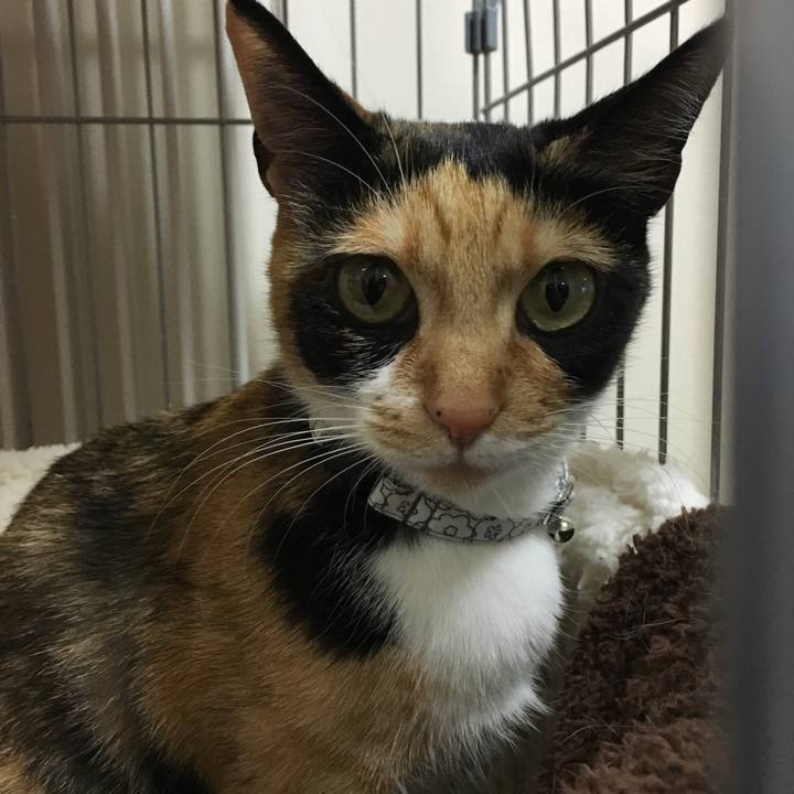 B7c7858a 8659 44bb 90f5 b195dec24af8