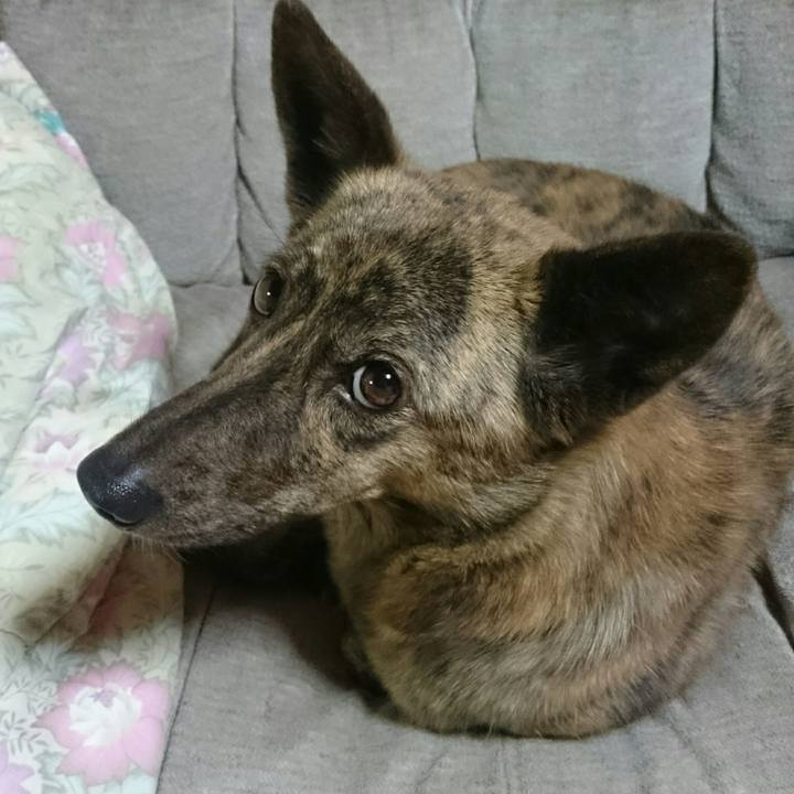 B7c7af5b e414 4dc0 a1d9 cb7d1c9ab98b