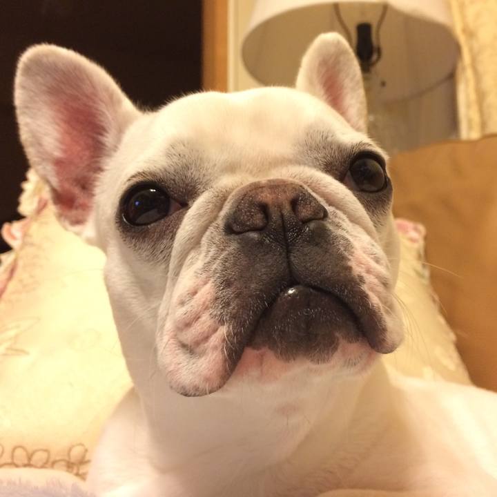 B7c7c1d7 beee 415a 9c28 d3a5a04f86ed