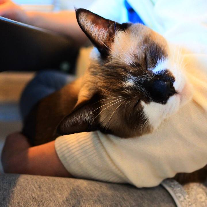 B7c8d22a 20e6 4c99 bc18 6793f692e2a3