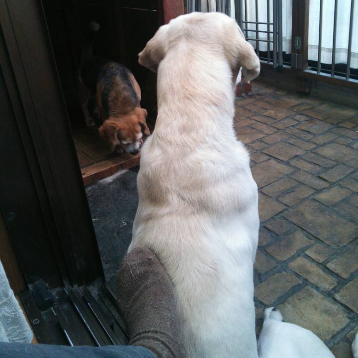 B7c907a3 4f29 42e5 b2a9 66660b2ab164